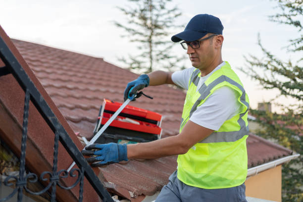 Best Insulation Replacement  in USA